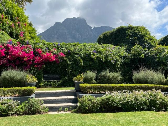 To Let 2 Bedroom Property for Rent in Rondebosch Western Cape